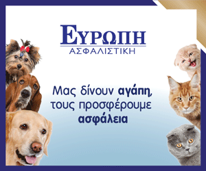 300-x-250-katoikidia-web-bannergif